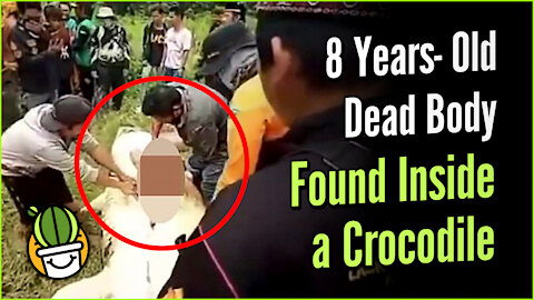 8 Year Old Dead Body Found Inside A Crocodile
