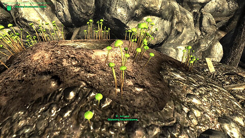 Fallout 3 Mods - Glowing Mushrooms Of The Capital Wasteland by DynexTheSergal