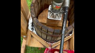 Pressing wine grapes