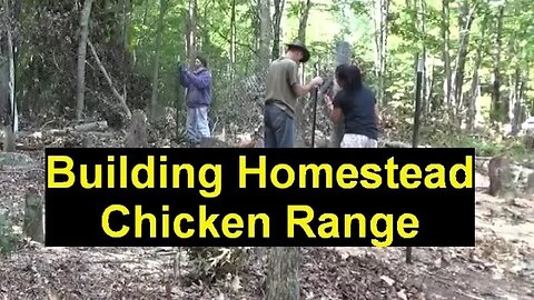 Building Large Chicken Run At The Homestead