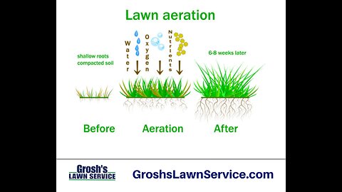 Lawn Aeration Greencastle Pennsylvania Lawn Care Service