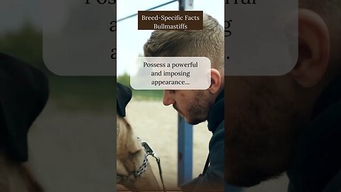 Interesting Facts about Bullmastiffs