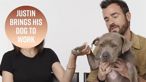 You have to meet Justin Theroux's adorable pup