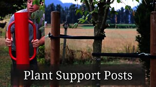 Tree Support Posts