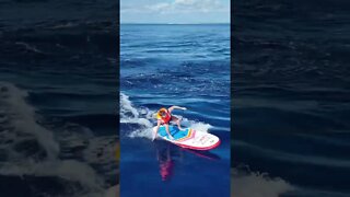 Paddleboards surfing behind our boat!