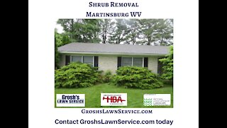 Shrub Removal Martinsburg WV Landscaping Contractor