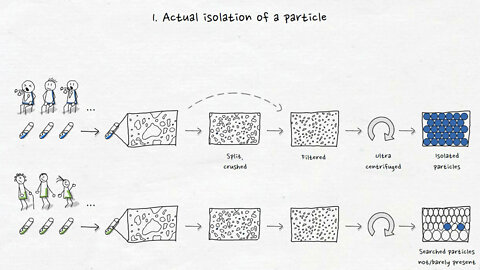 About the motives of the unvaccinated - Part 3 (Virus isolation)