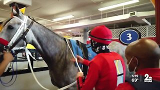 Jockey McCarthy fights for Preakness win after fighting COVID