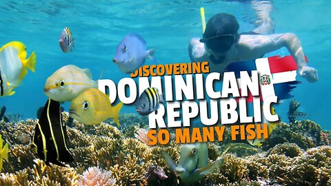Snorkeling In Punta Cana | Discovering Dominican Republic | Vancity Adventure