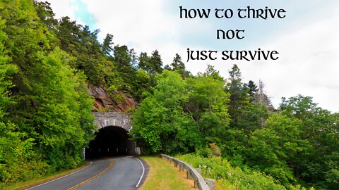 Thriving Not Just Surviving - Part 1