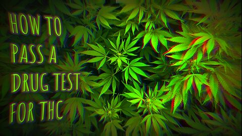 How To Get THC Out Of Your System