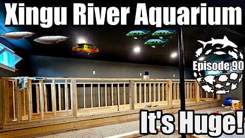 Massive DIY Aquarium Build Coming Together! Huge Xingu River Inspired Aquarium!