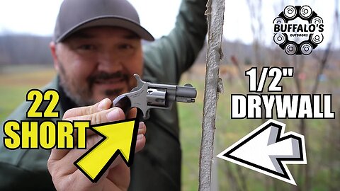 TINY REVOLVER vs 1/2" DRYWALL