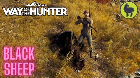 Black Sheep, Yi's Cabin Jobs | Way of the Hunter (PS5 4K)