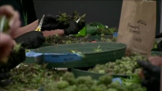 Colorado marijuana telemedicine visits to end in July