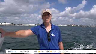 Boating boom brings increased safety awareness