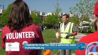 Apply To Get Trees Planted & Community Opportunities! // TheParkPeople.org