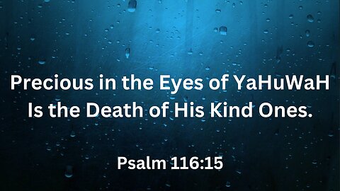 Precious in the Eyes of YaHuWaH is the Death of His Kind Ones