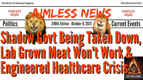 Shadow Govt Being Taken Down, Lab Grown Meat Won't Work & Engineered Healthcare Crisis