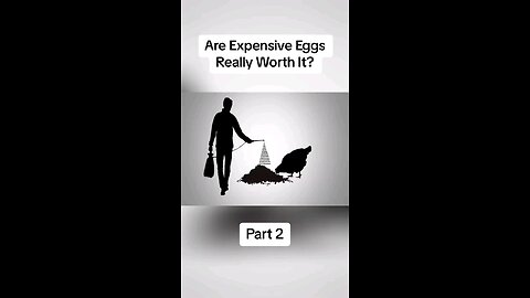 MUST WATCH:The Right Eggs to buy