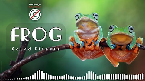 Frog Sound Effects | frog sounds | Frog Noises | HQ
