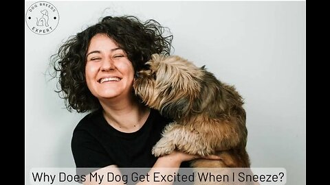 Why Does My Dog Get Excited When I Sneeze? This May Surprise You