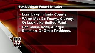 Toxic algae found in lake in Ionia County