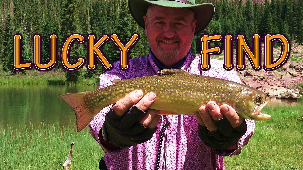 Lucky Dog Backpacking Fishing Adventure - Catch and Cook