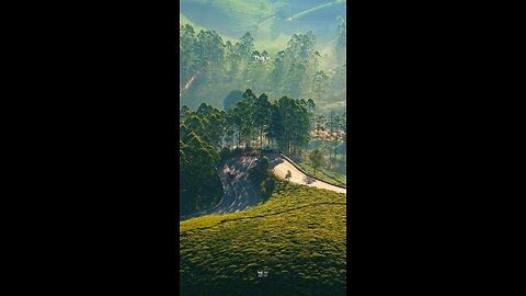 Gap road munnar ☘️😘