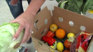 South Florida farmers to plant peppers, cucumbers this week