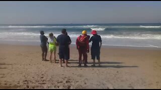 SOUTH AFRICA - Durban - Tourist drowns at beach (Videos) (529)