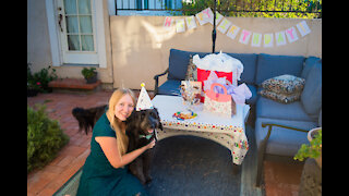 Brie Dog's Birthday Party 2020!