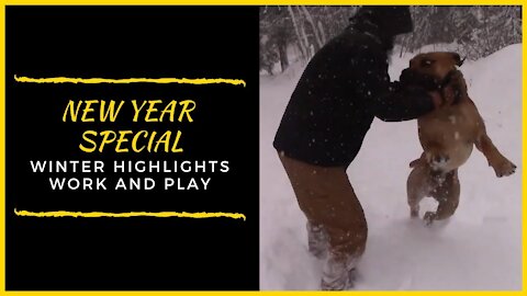 Our Winter Highlights 2017-2020! Funny!