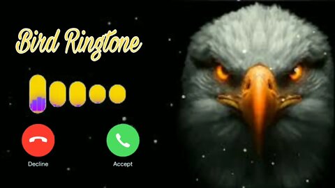 Eagle Ringtone | Simple Ringtone | Bird Ringtone | Ringtone 2022 | Phone Ringtone