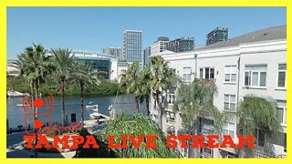 Tampa Downtown Live Stream Saturday
