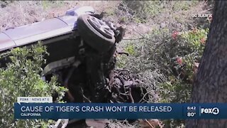 Cause of Tiger Woods crash determined but not released