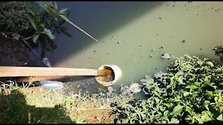 SOUTH AFRICA - Durban - Oil leaks into river (VIdeos) (WrF)