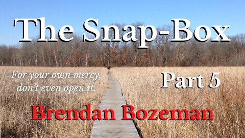 The Snap-Box, Part 5, by Brendan Bozeman (5/7)