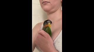 Parrot whistles in the shower with mom