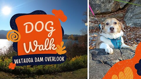 The pups love this Tennessee walk and you will too!