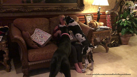 Great Dane Puppy and Cat Wish Fairy God Mother Happy Birthday