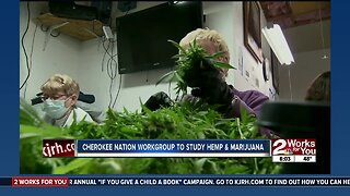 Cherokee Nation workgroup to study hemp and marijuana