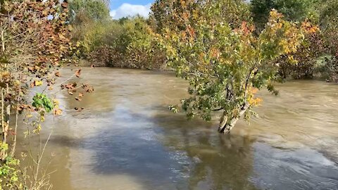 Elkhorn Creek is up