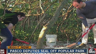 New Port Richey Police searching for body at Green Key Beach Park