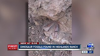 Construction crews dig up dinosaur fossils in Highlands Ranch