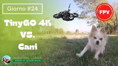 TinyGO 4K VS. Cani odiatori di droni 😂