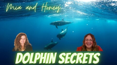 The True Magic of Dolphins, They Have Much to Tell Us! with Mia and Honey