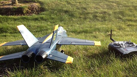 Stunts and Tricks with the Blue Angel F-18 Hornet 64mm EDF Jet RC Jet