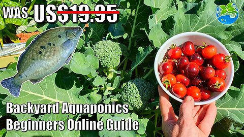 Beginners Aquaponics Guide | DISCOUNT Now Available