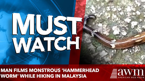 Man films monstrous 'hammerhead worm' while hiking in Malaysia